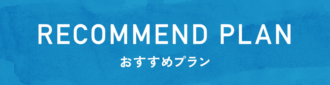 RECOMMEND PLAN|おすすめプラン