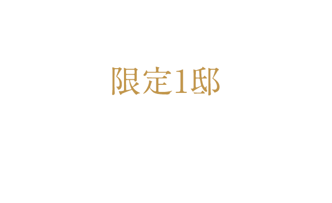 いよいよ最終期分譲「限定1邸」棟内モデルルーム家具付分譲